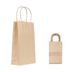 Paper Bag with Handle 10's Small_2